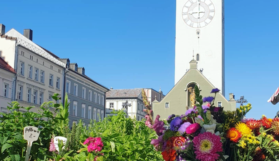 Viktualienmarkt Straubing - Blog by Kathrin Resch